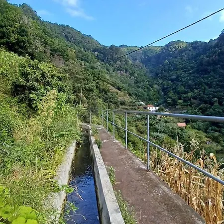 Moradia - Vieira